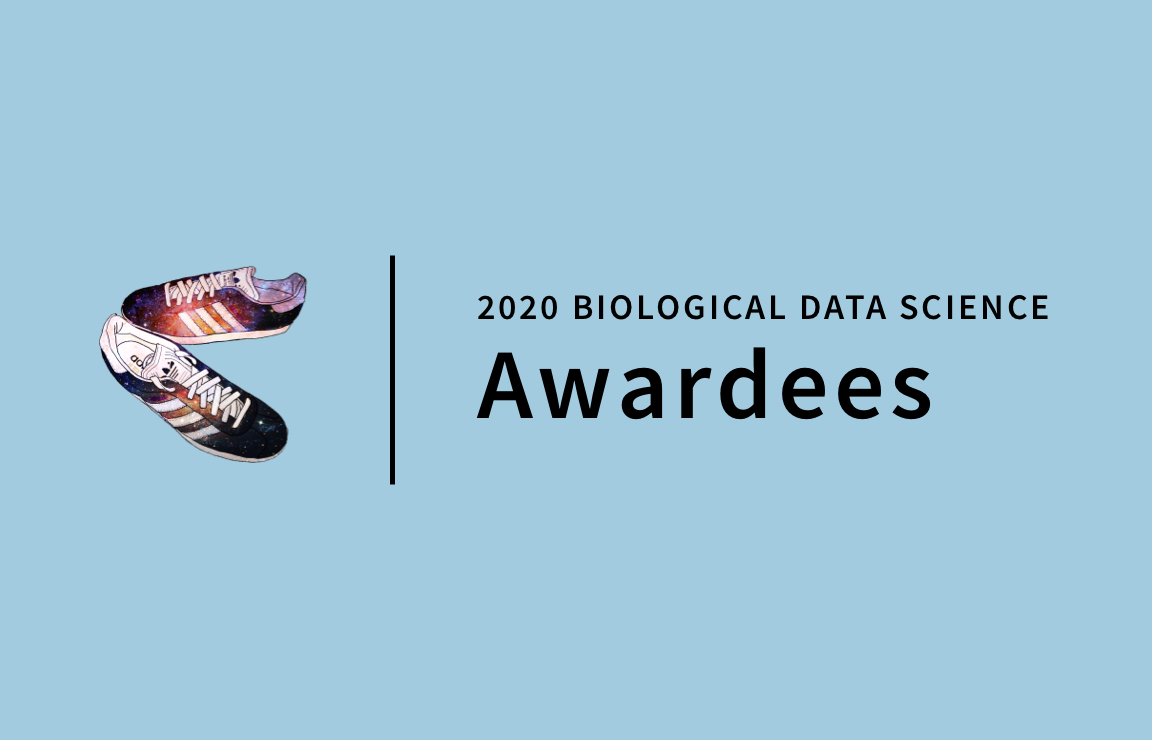 2020 BDS Awardees